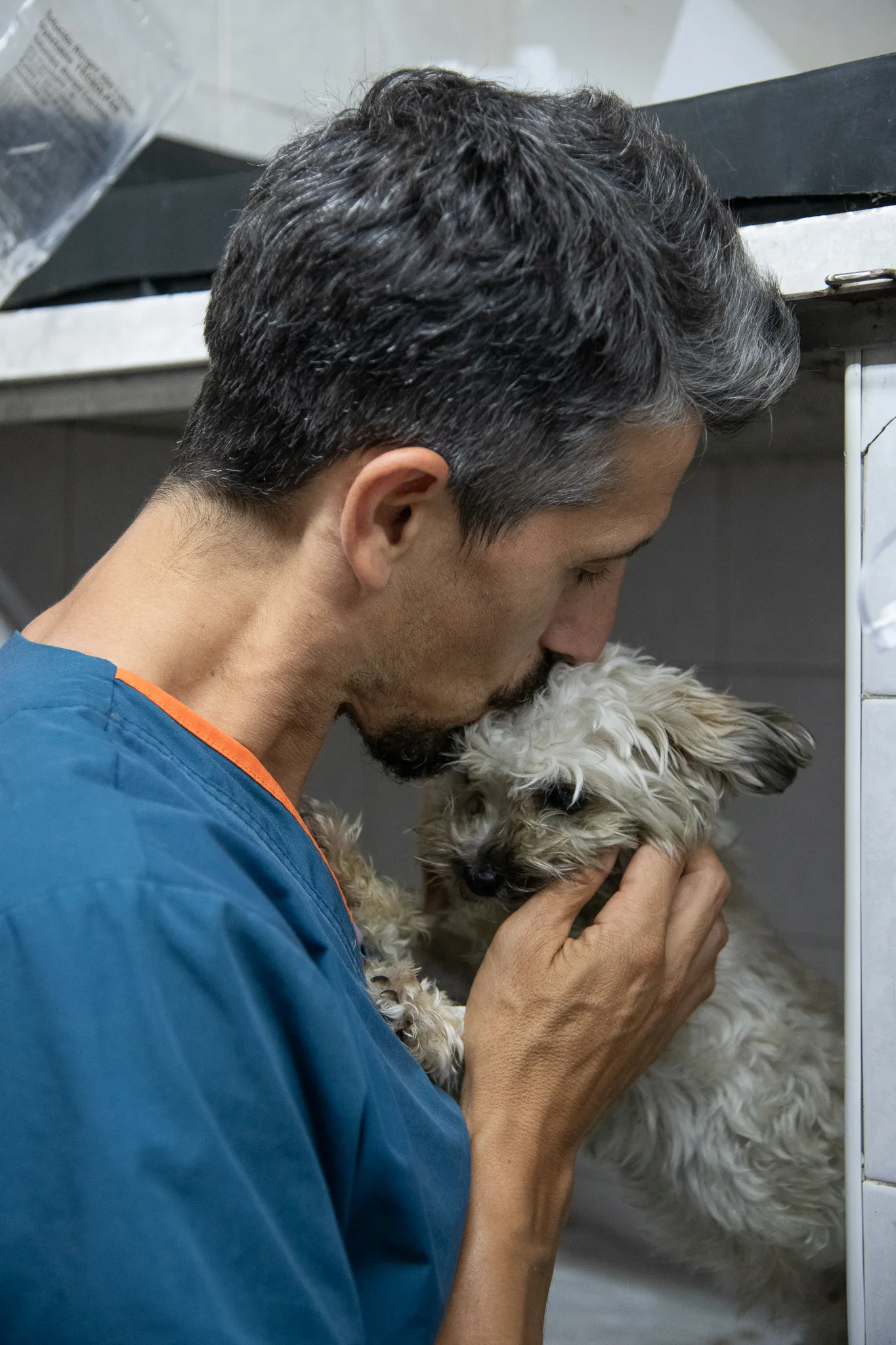 Equipo Hospital Veterinario Colón