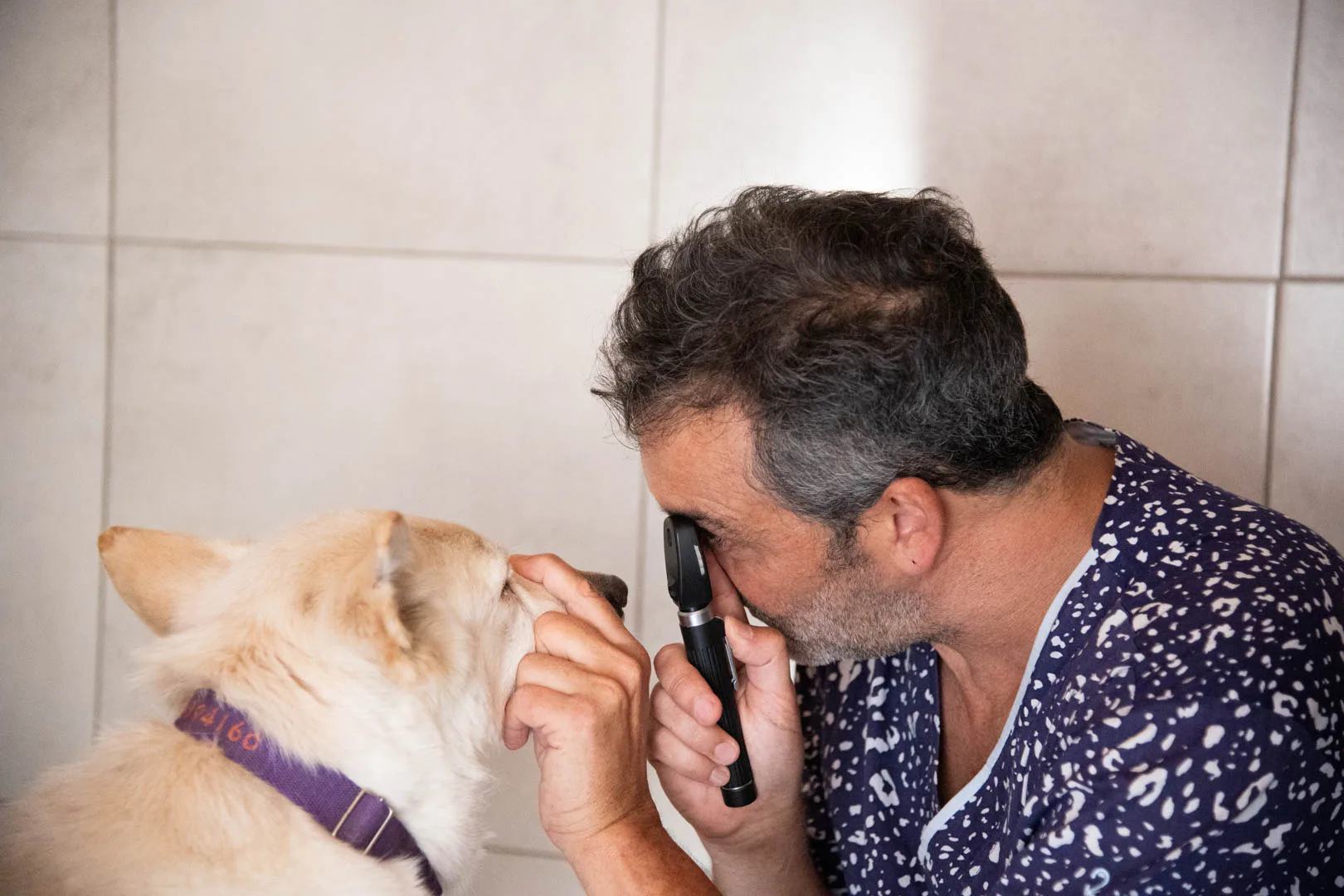 Equipo Hospital Veterinario Colón