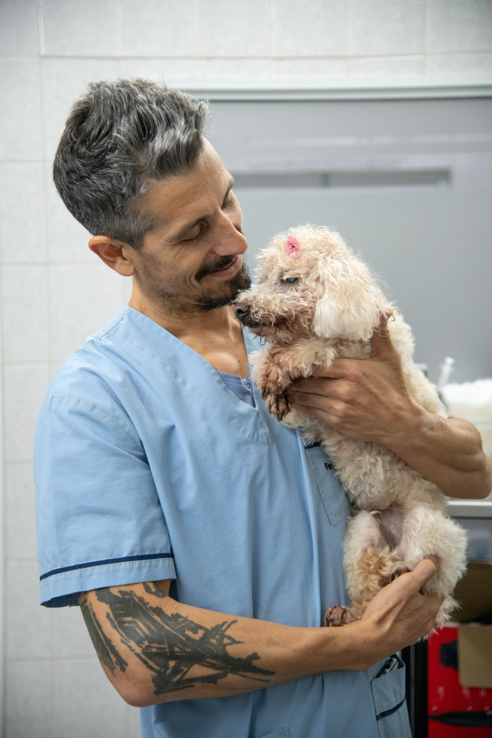 Equipo Hospital Veterinario Colón