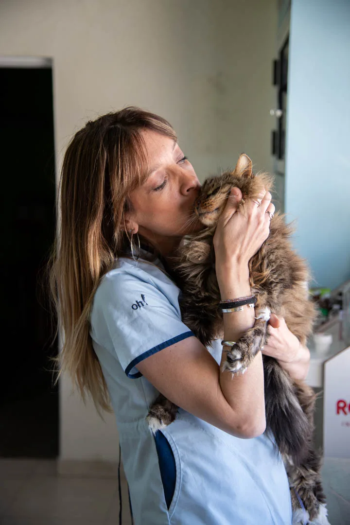 Equipo Hospital Veterinario Colón