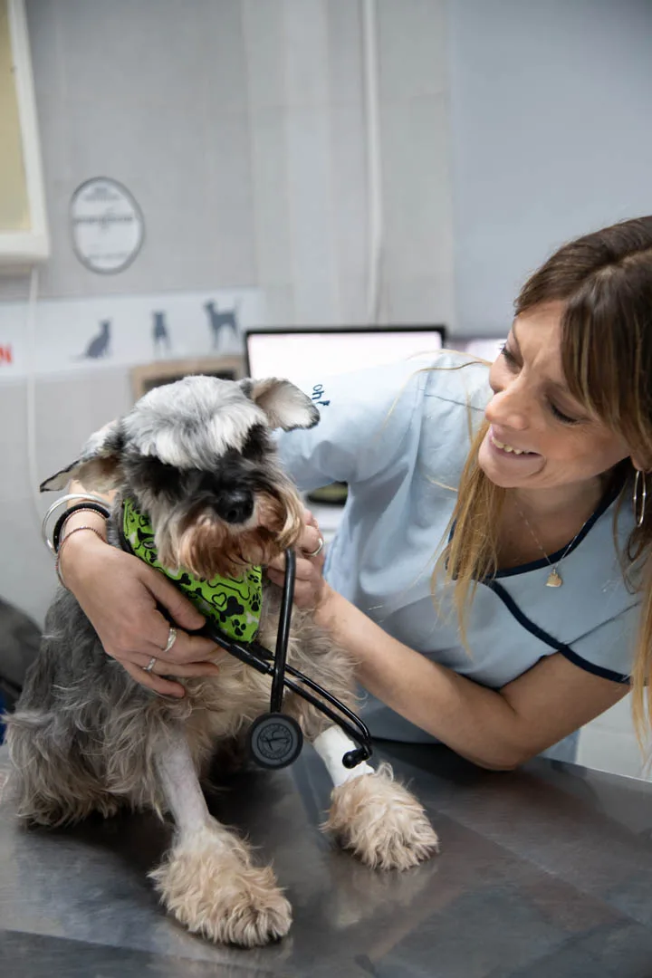 Equipo Hospital Veterinario Colón