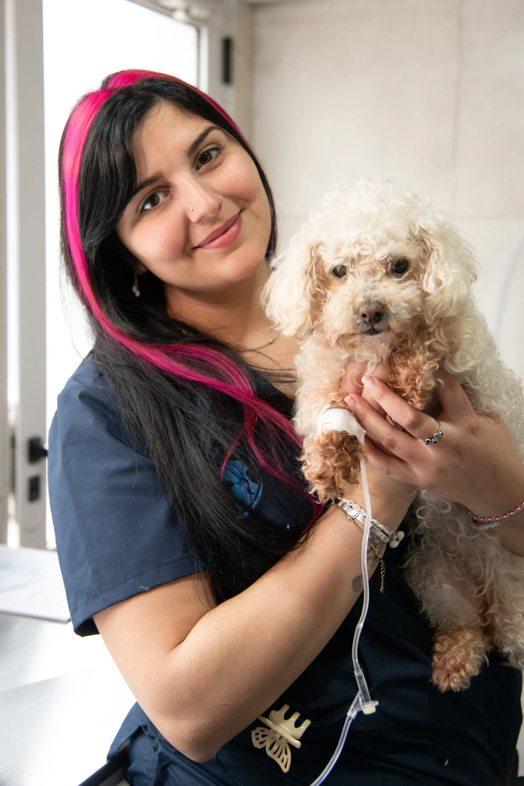 Equipo Hospital Veterinario Colón