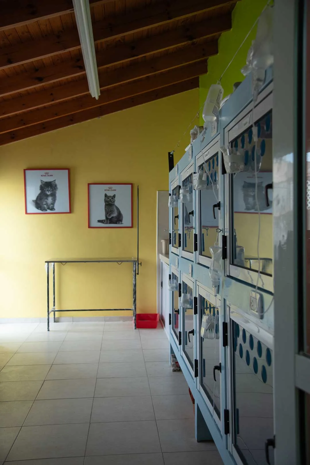 Hospital Veterinario Colón