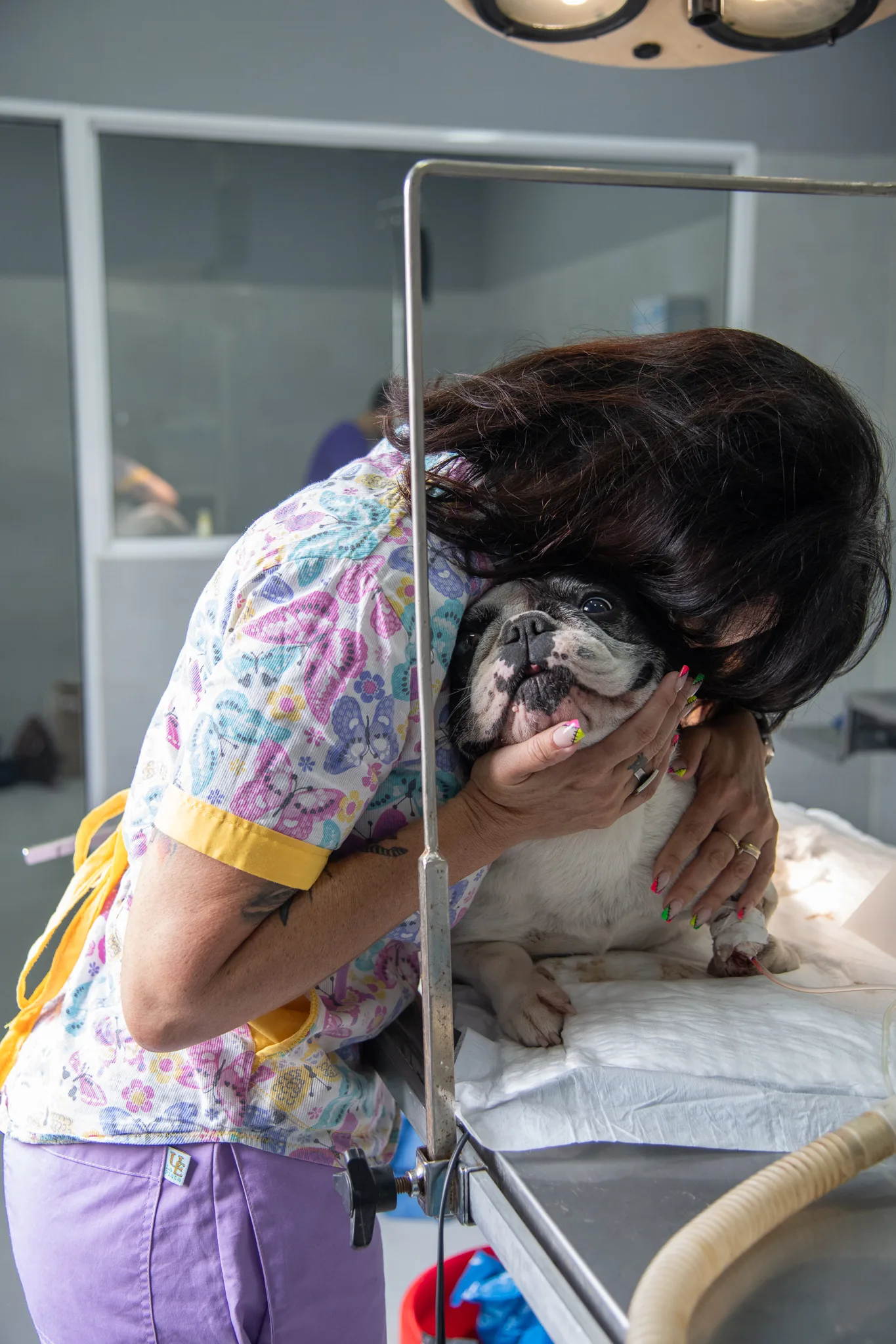 Hospital Veterinario Colón